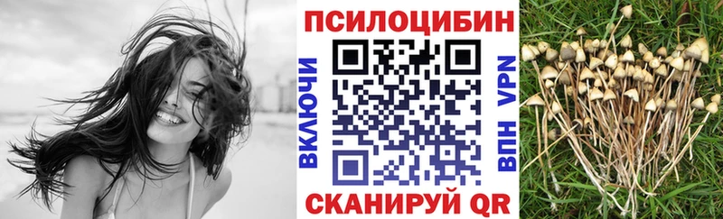 Псилоцибиновые грибы Psilocybine cubensis  наркошоп  Полевской 